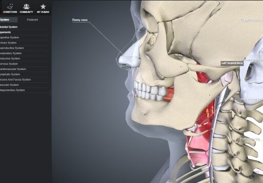 3Dの人体模型をアプリ・ブラウザで楽しめる「BioDigital Human」 1 3de381aee4babae4bd93e6a8a1e59e8be38292e382a2e38397e383aae383bbe38396e383a9e382a6e382b6e381a7e6a5bde38197e38281e3828be3808cbiodigital human