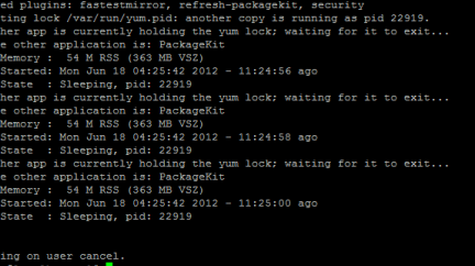 Cent OSでyum時にExisting lockエラーが出たので対処 3 cent ose381a7yume69982e381abexisting locke382a8e383a9e383bce3818ce587bae3819fe381aee381a7e5afbee587a6